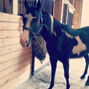 Meet your Posher, Kimberley